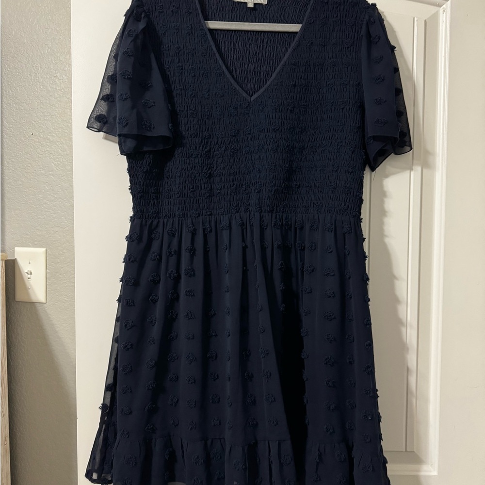 Daniel Rainn Navy Clip Dot Dress with Short Sleeves